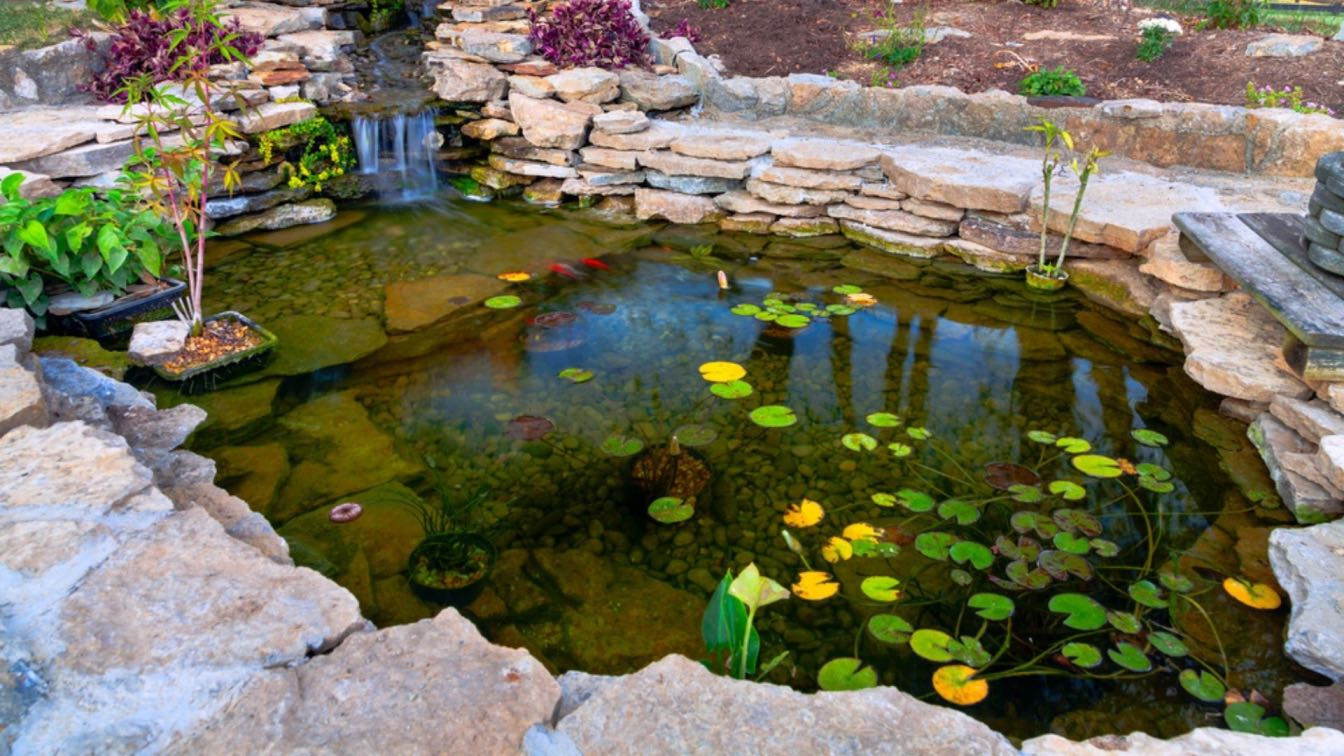 Installing a Garden Pond