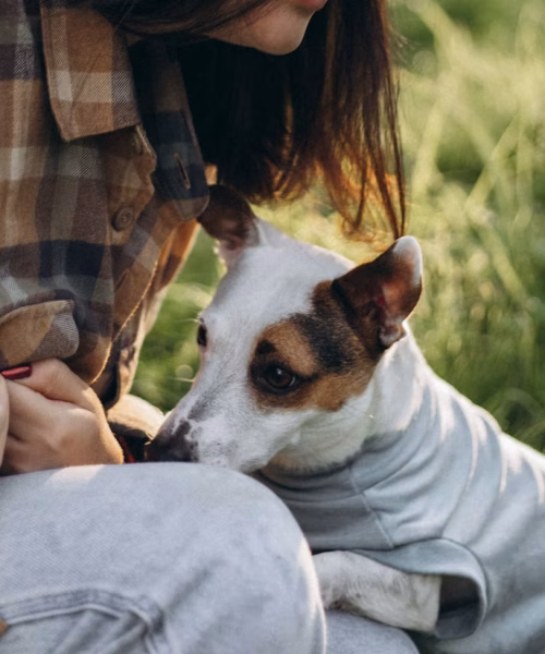 Training Dog to Walk on Leash: A Step-by-Step Guide for Better Walks
