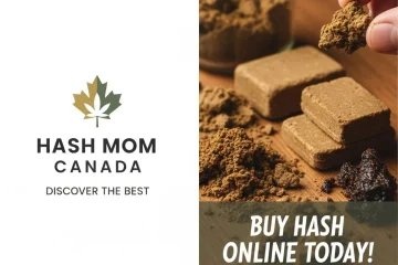 Discover the Best Hash MOM Canada: Buy Hash Online Today!