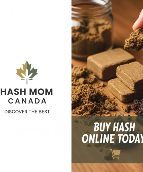 Discover the Best Hash MOM Canada: Buy Hash Online Today!
