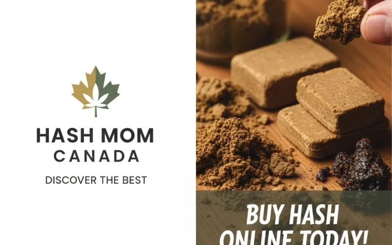 Discover the Best Hash MOM Canada: Buy Hash Online Today!